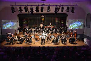 Waldeckisches Kammerorchester